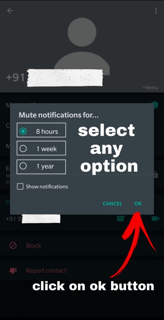 How to turn off or Mute particular chat notification on WhatsApp
