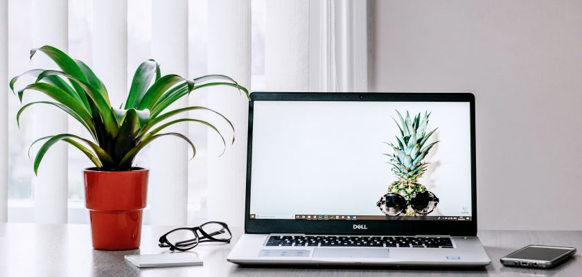 Laptop beside a plant